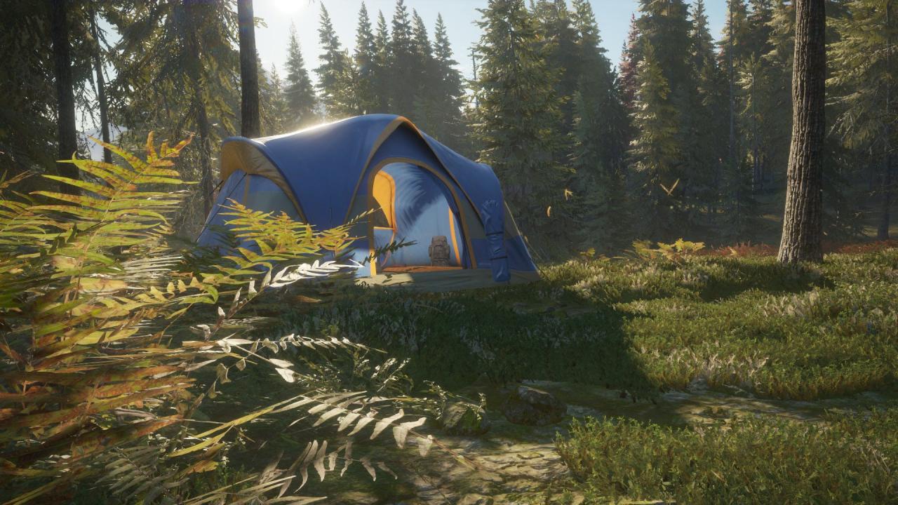 theHunter: Call of the Wild - Tents & Ground Blinds DLC Steam CD Key 1.6 $