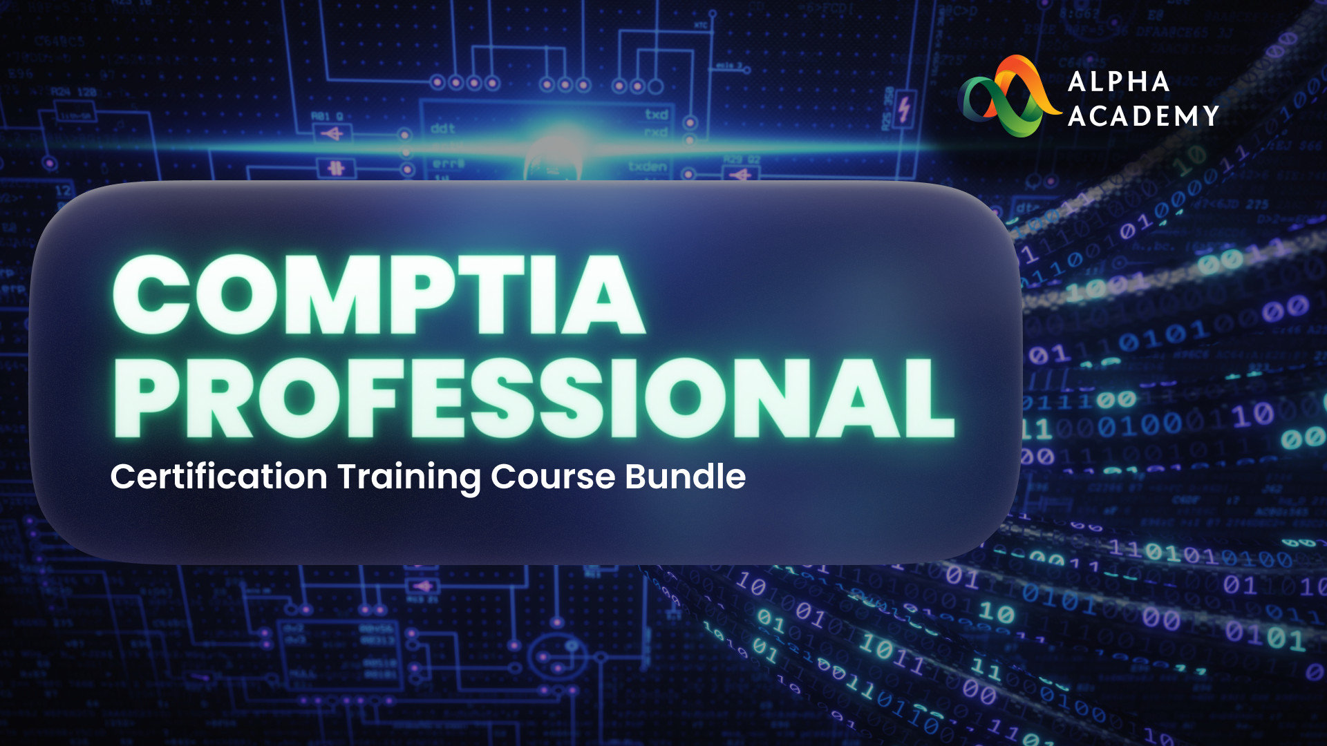 CompTIA Professional Certification Training Course Bundle Alpha Academy Code 9.03 $
