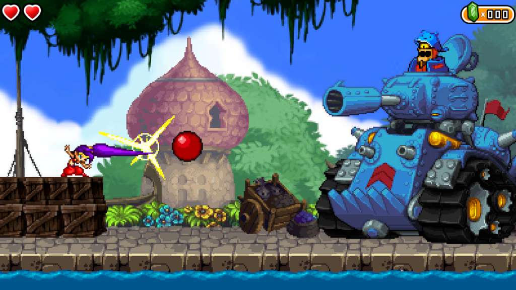 Shantae and the Pirate's Curse EU Steam CD Key 7.46 $