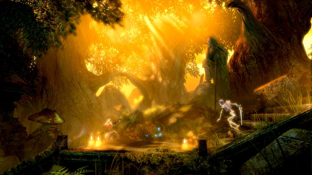 Trine: Ultimate Collection Steam CD Key 21.24 $