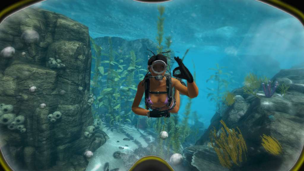 World of Diving Steam CD Key 2.06 $