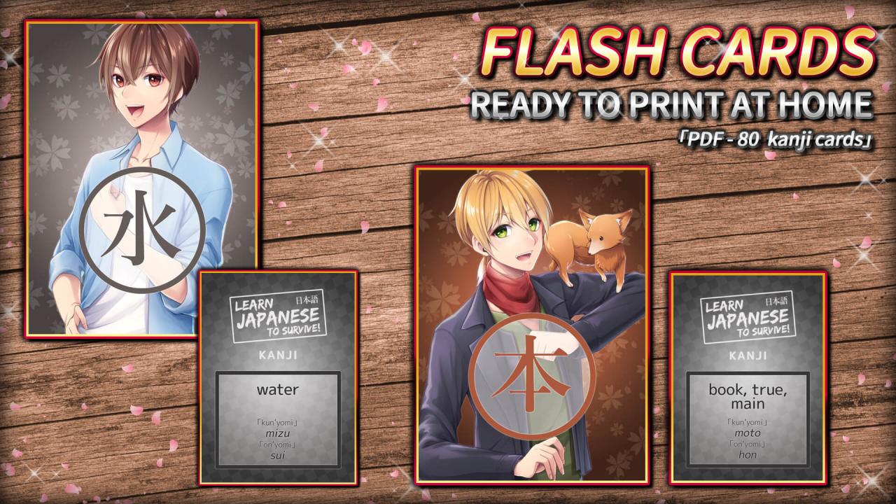 Learn Japanese To Survive! Kanji Combat - Flash Cards DLC Steam CD Key 0.95 $