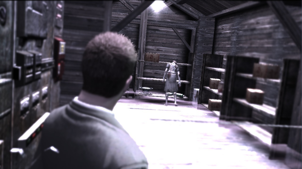 Deadly Premonition: The Director's Cut - Deluxe Edition Steam Gift 20.33 $