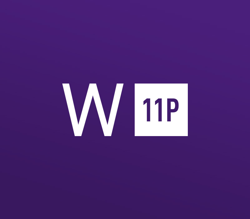 Windows 11 Professional OEM Key - API 20.89 $