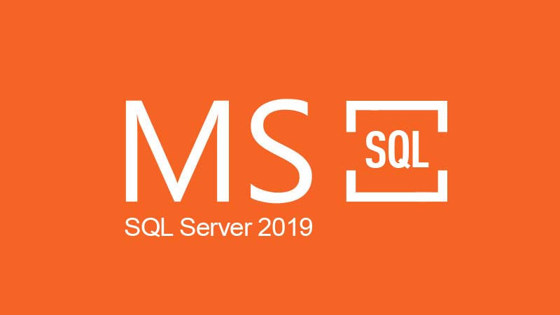 MS SQL Server 2019 CD Key 61.02 $