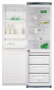 larawan Refrigerator Daewoo Electronics ERF-385 AHE