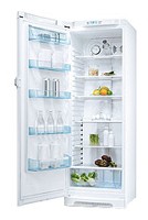 ảnh Tủ lạnh Electrolux ERES 35800 W