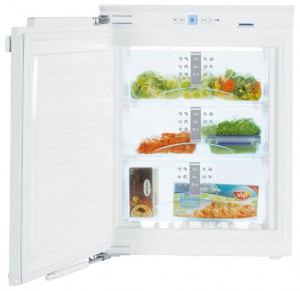 larawan Refrigerator Liebherr IGN 1054