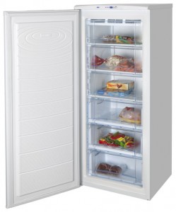 фото Холодильник NORD 155-3-010