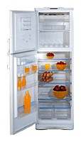 larawan Refrigerator Stinol R 36 NF