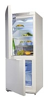 ảnh Tủ lạnh Snaige RF27SM-S10021