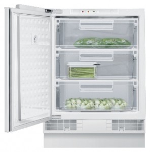 larawan Refrigerator Gaggenau RF 200-202