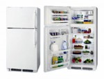 Frigidaire FGTG 16V6 A Refrigerator