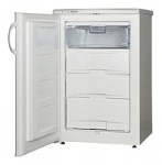 Snaige F100-1101АА Tủ lạnh