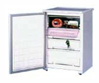 фото Холодильник Бирюса 90C