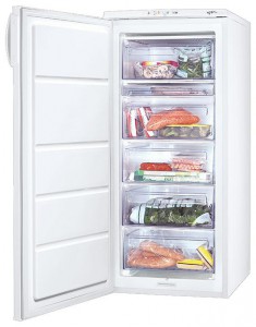 ảnh Tủ lạnh Zanussi ZFU 319 EW