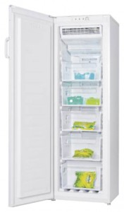 larawan Refrigerator LGEN TM-169 FNFW