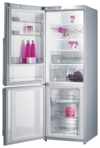 larawan Refrigerator Gorenje NRK 65 SYA