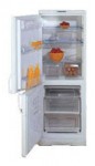 Indesit C 132 NFG Tủ lạnh