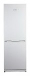 Snaige RF31SM-S10021 Refrigerator